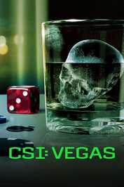 DE - CSI: Vegas (2021) (US)