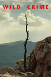 FR - Wild Crime